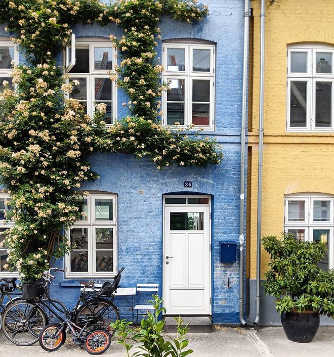 colorful-front-doors-photography-london-bella-foxwell-56-5c36fa4e857a1__700