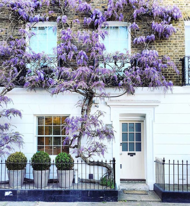 colorful-front-doors-photography-london-bella-foxwell-68-5c36fa66e482e__700