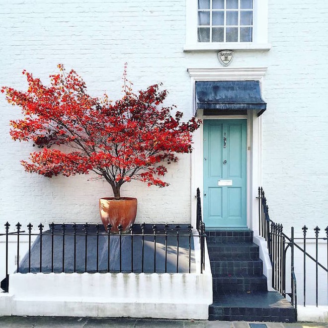 colorful-front-doors-photography-london-bella-foxwell-75-5c36fa737029b__700