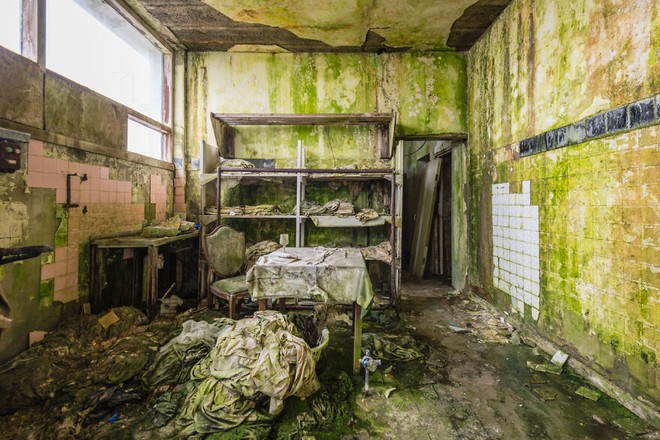 Khám phá bên trong khách sạn bị bỏ hoang nổi tiếng tại Ireland, nơi khung cảnh được bao trùm bởi thảm thực vật xanh mướt - Ảnh 1.