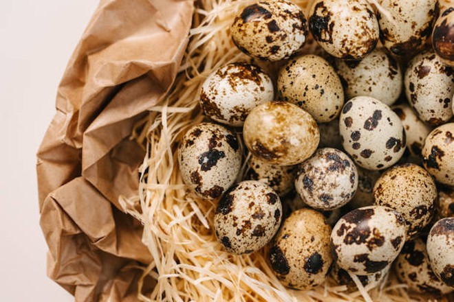Loại trứng quen giá rẻ có cholesterol thấp hơn trứng gà, tăng gấp 3 lần trao đổi chất và bảo vệ mạch máu hiệu quả - Ảnh 1.
