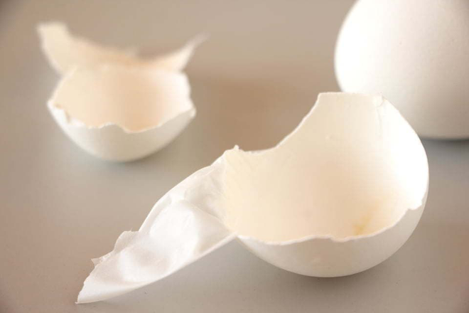 Một phần của trứng là báu vật dưỡng thương trăm năm của các võ sĩ sumo, giàu protein và collagen nhưng vẫn thường bị vứt bỏ đáng tiếc - Ảnh 2.