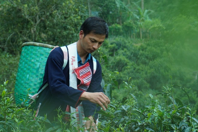 Trà sữa từ &quot;Shan Tuyết Ngàn Mét Tây Bắc&quot; trở thành xu hướng: Điều gì khiến giới trẻ đam mê đến vậy?  - Ảnh 3.