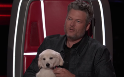 The Voice US: Blake Shelton đưa một chú cún cực yêu ra 
